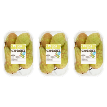 Jumbo Conference 3 x 1 kg