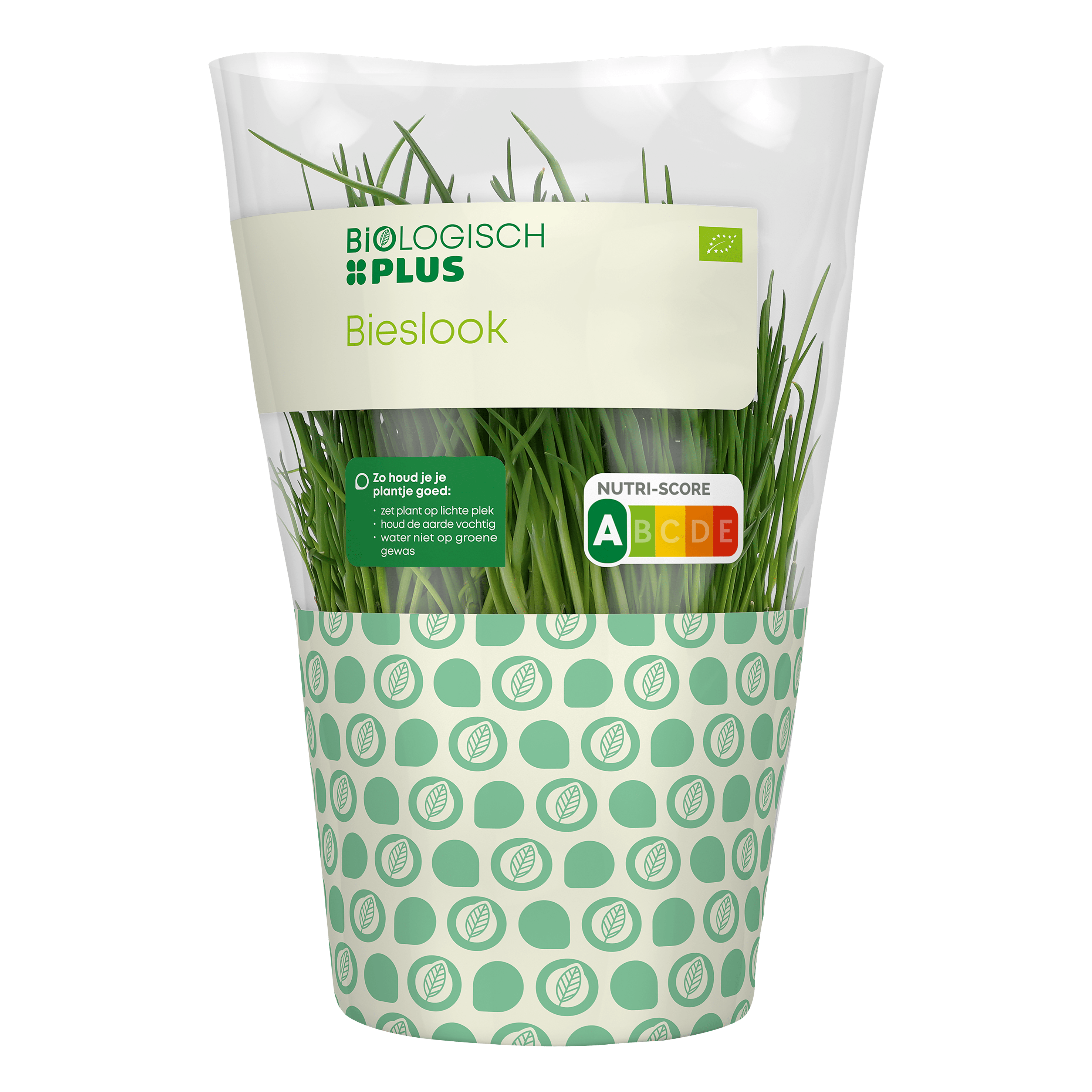 Biologisch PLUS Bieslook Pot 1 st