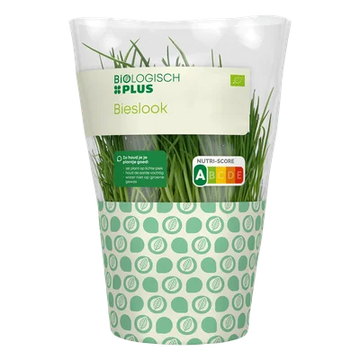 Biologisch PLUS Bieslook Pot 1 st