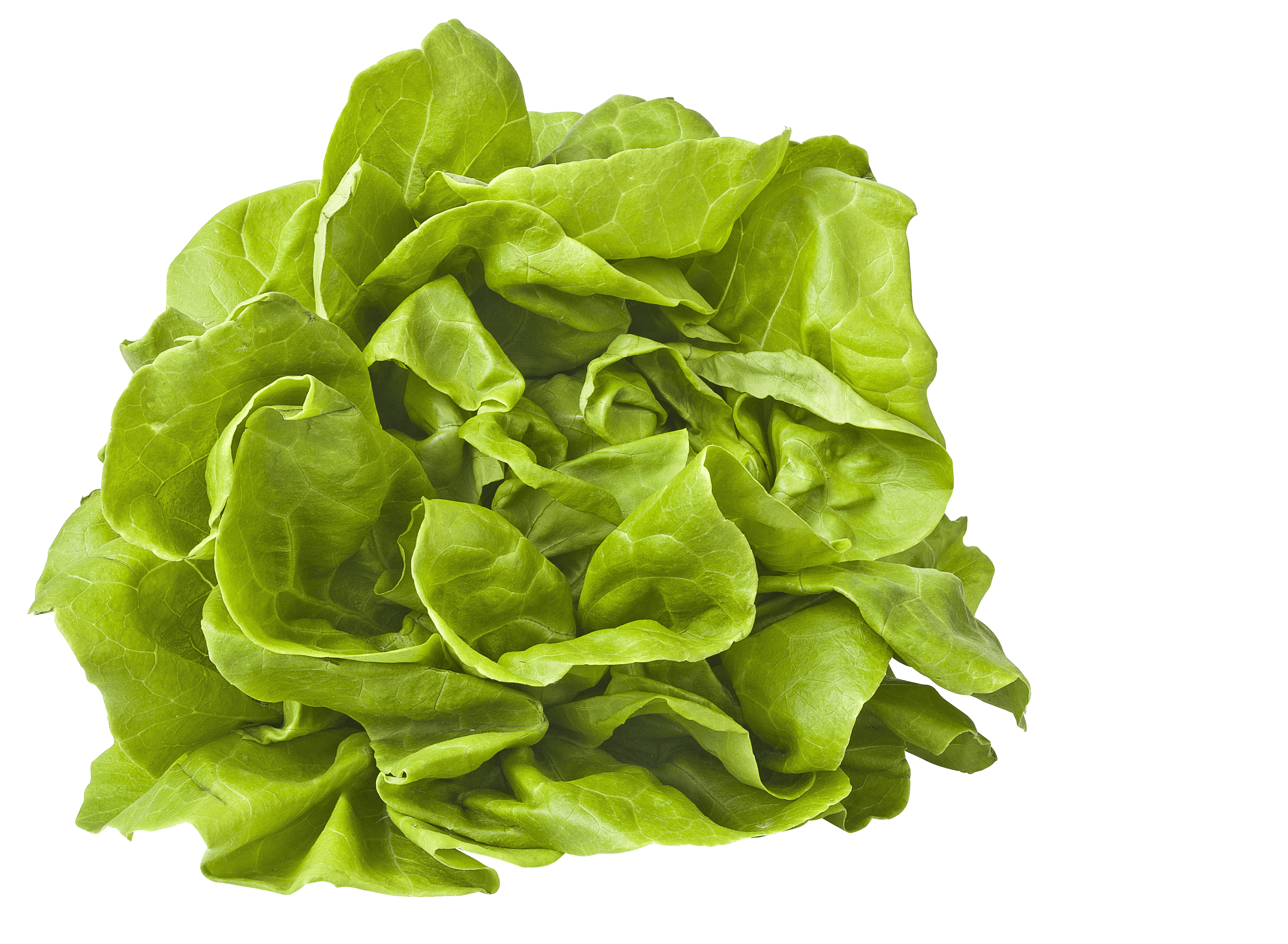 PLUS Kropsla Stuk 1 st