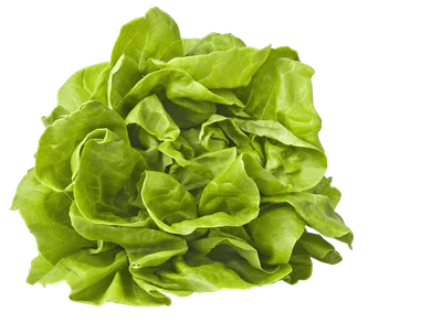 PLUS Kropsla Stuk 1 st