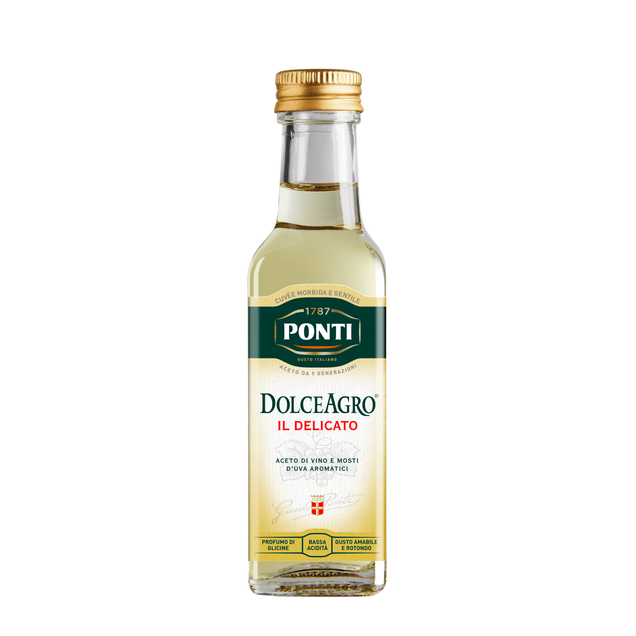Ponti Condimento Dolceagro Bianco Fles 100 ml