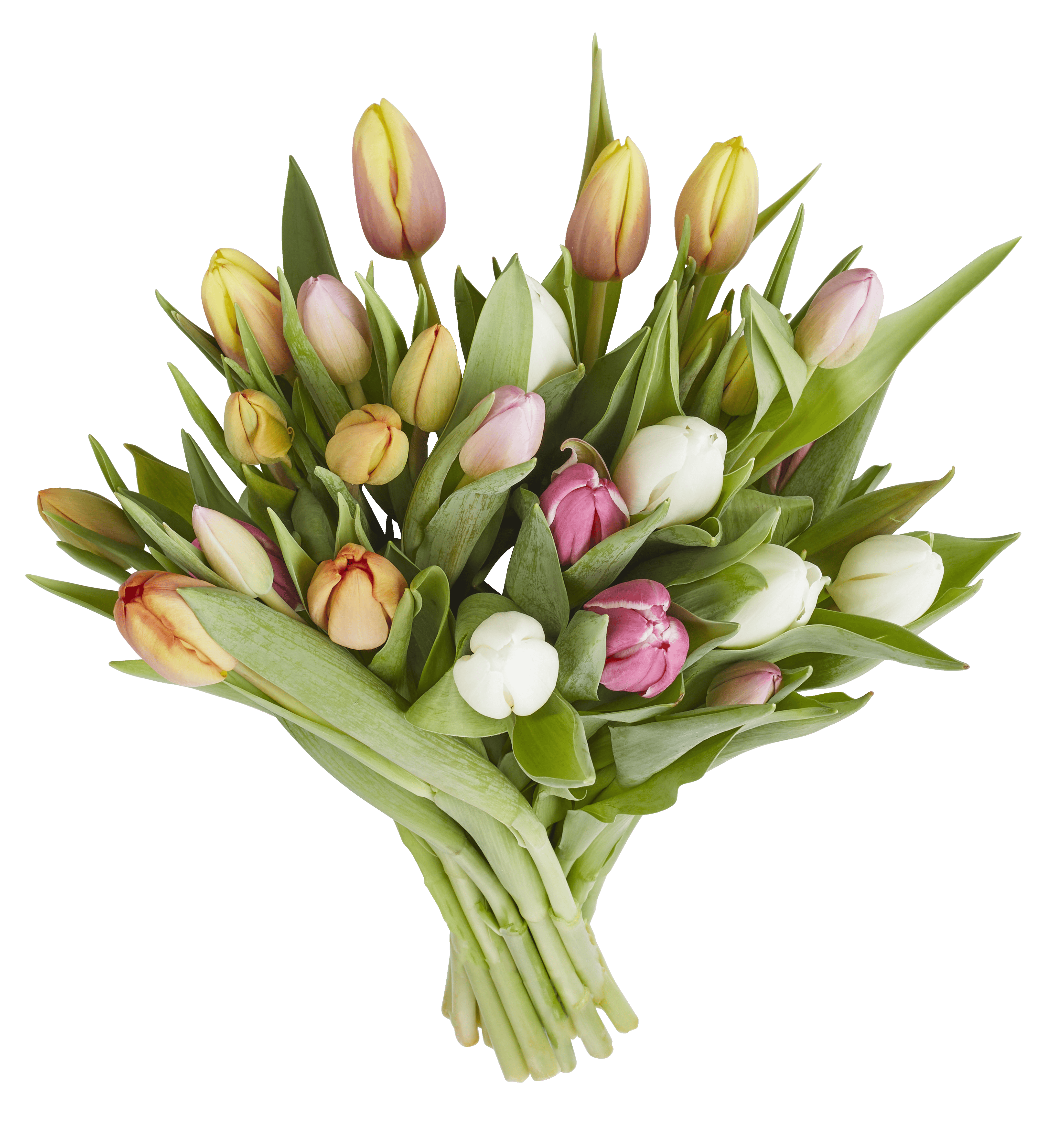 PLUS Volumebos mix Set 25 st