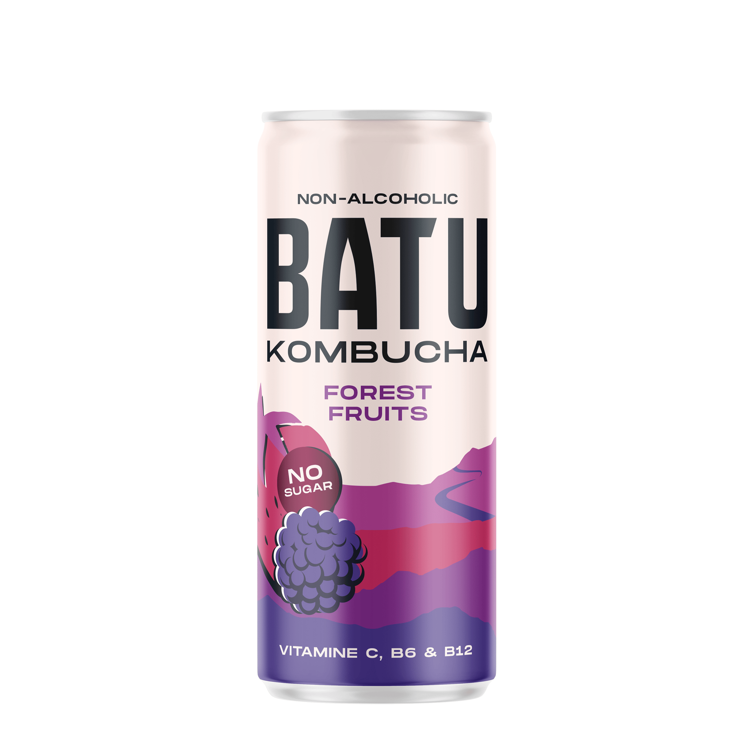 Batu Kombucha forest fruits zero Blik 250 ml