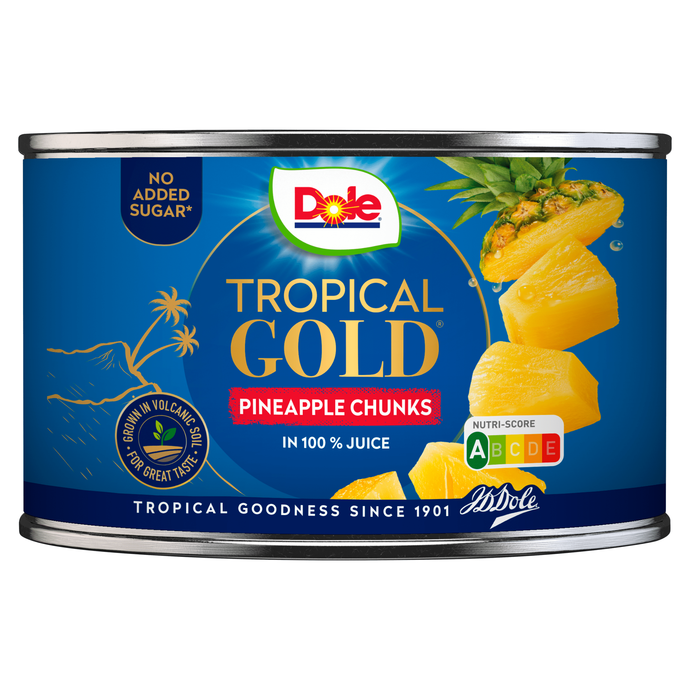 Dole Ananasschijven op sap Blik 227 g