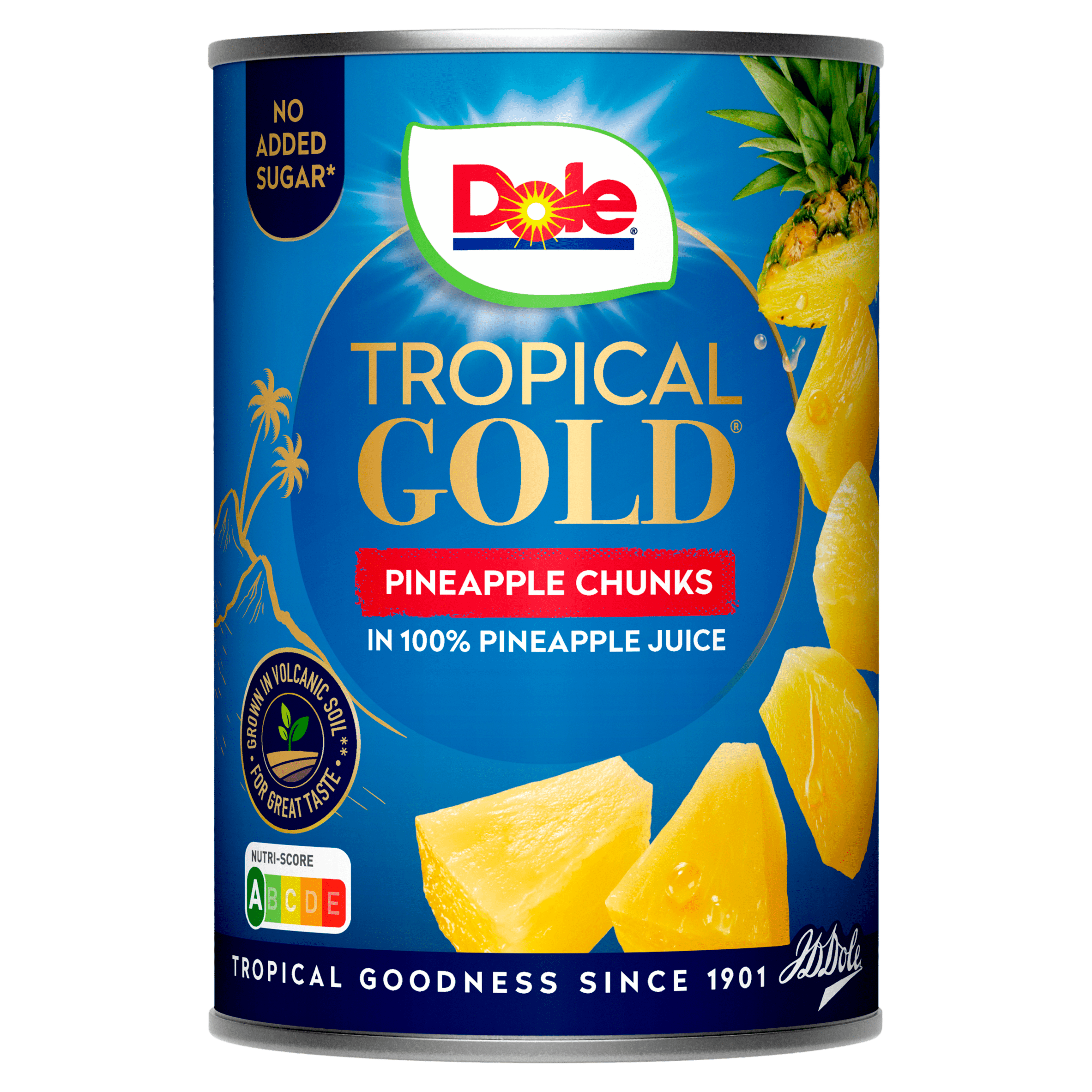 Dole Ananasschijven op sap Blik 567 g