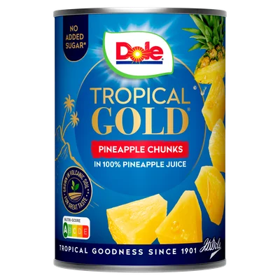 Dole Ananasschijven op sap Blik 567 g