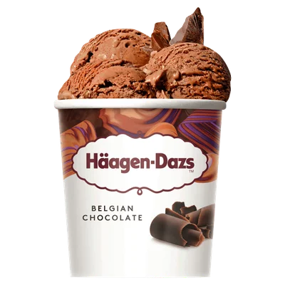 Haagen Dazs Belgian Chocolate Kuipje 460 ml