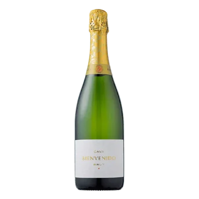 Bienvenido Cava Brut Proost! Fles 750 ml