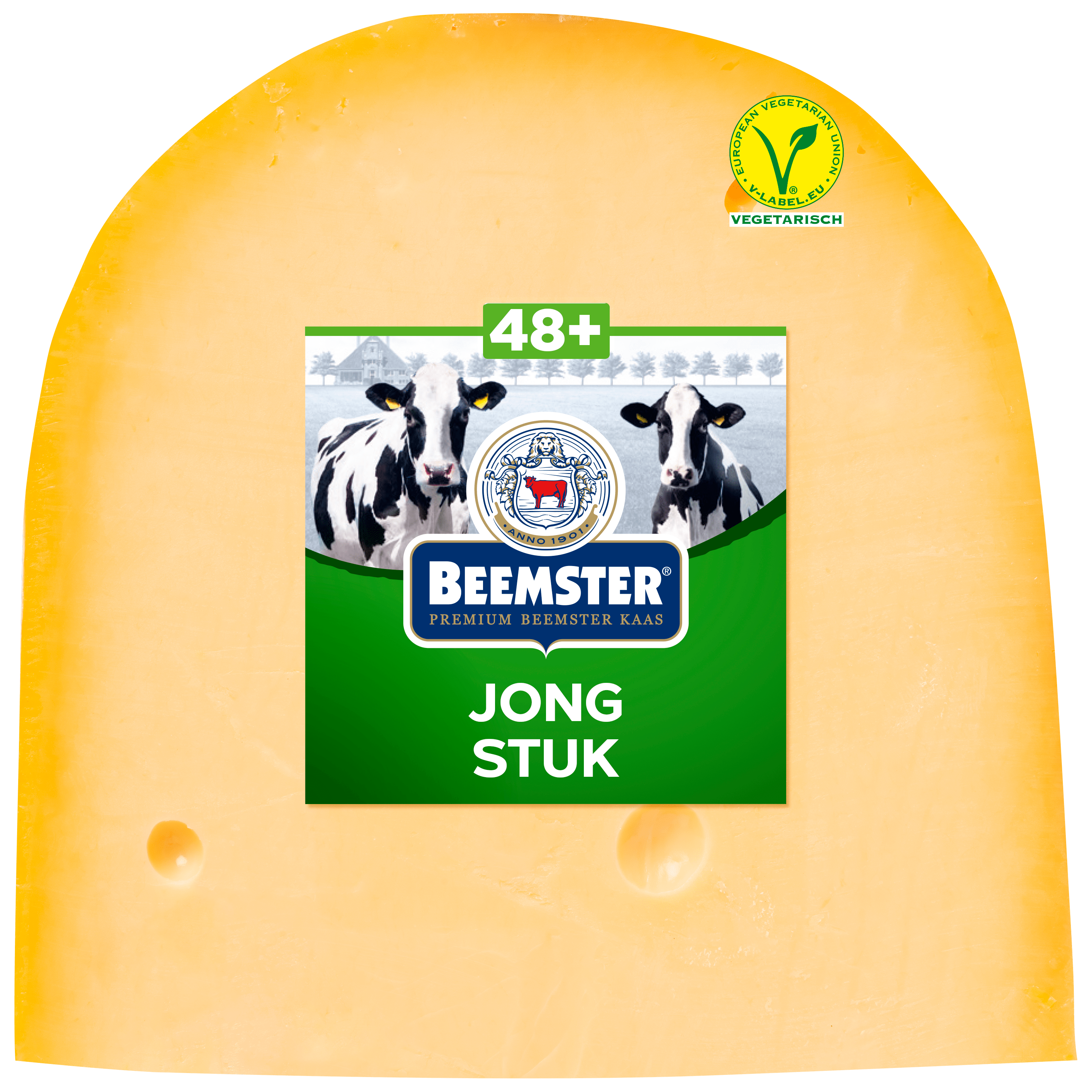 Beemster Jong 48+ stuk 475 gram