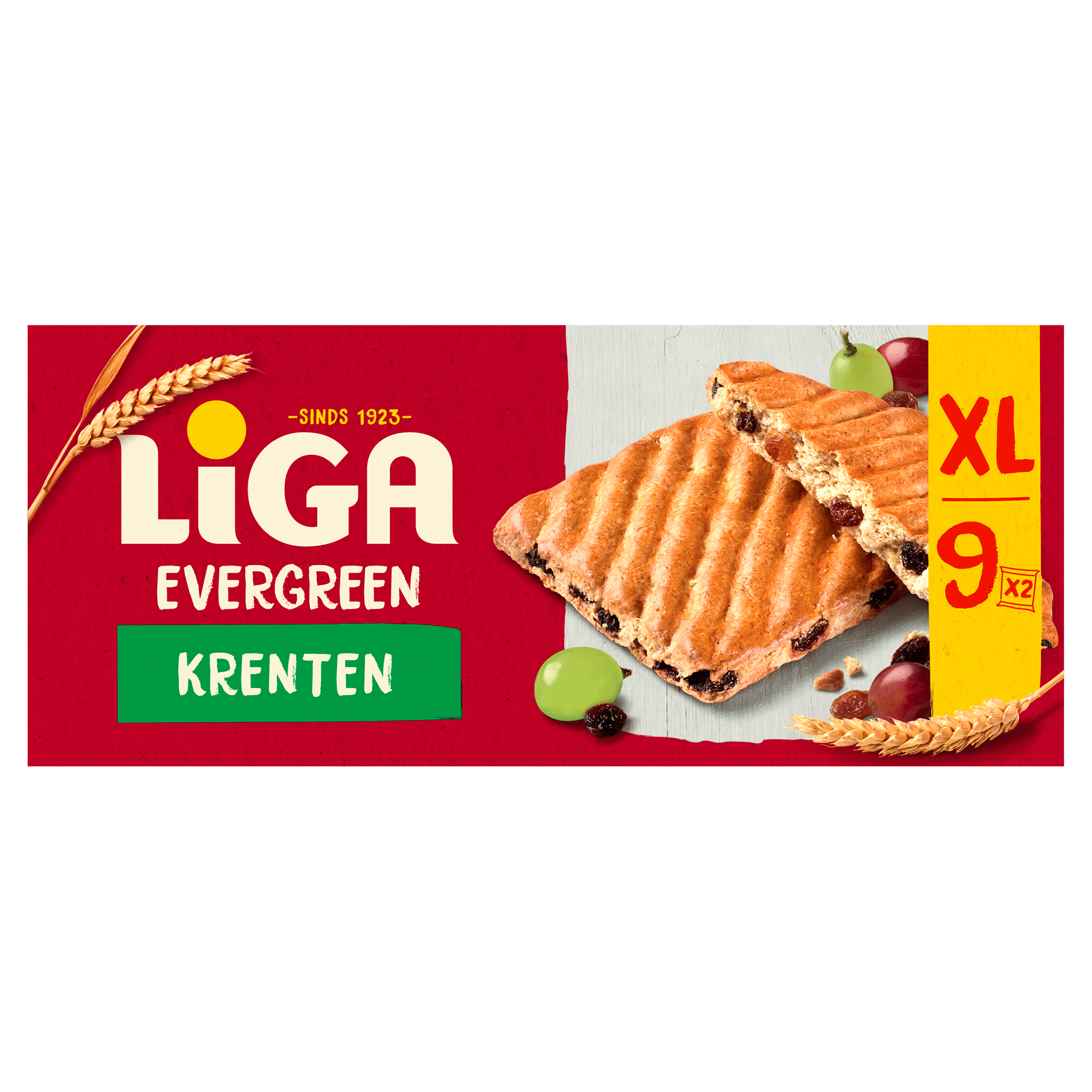 Liga Evergreen koekjes krenten XL Doos 337 g