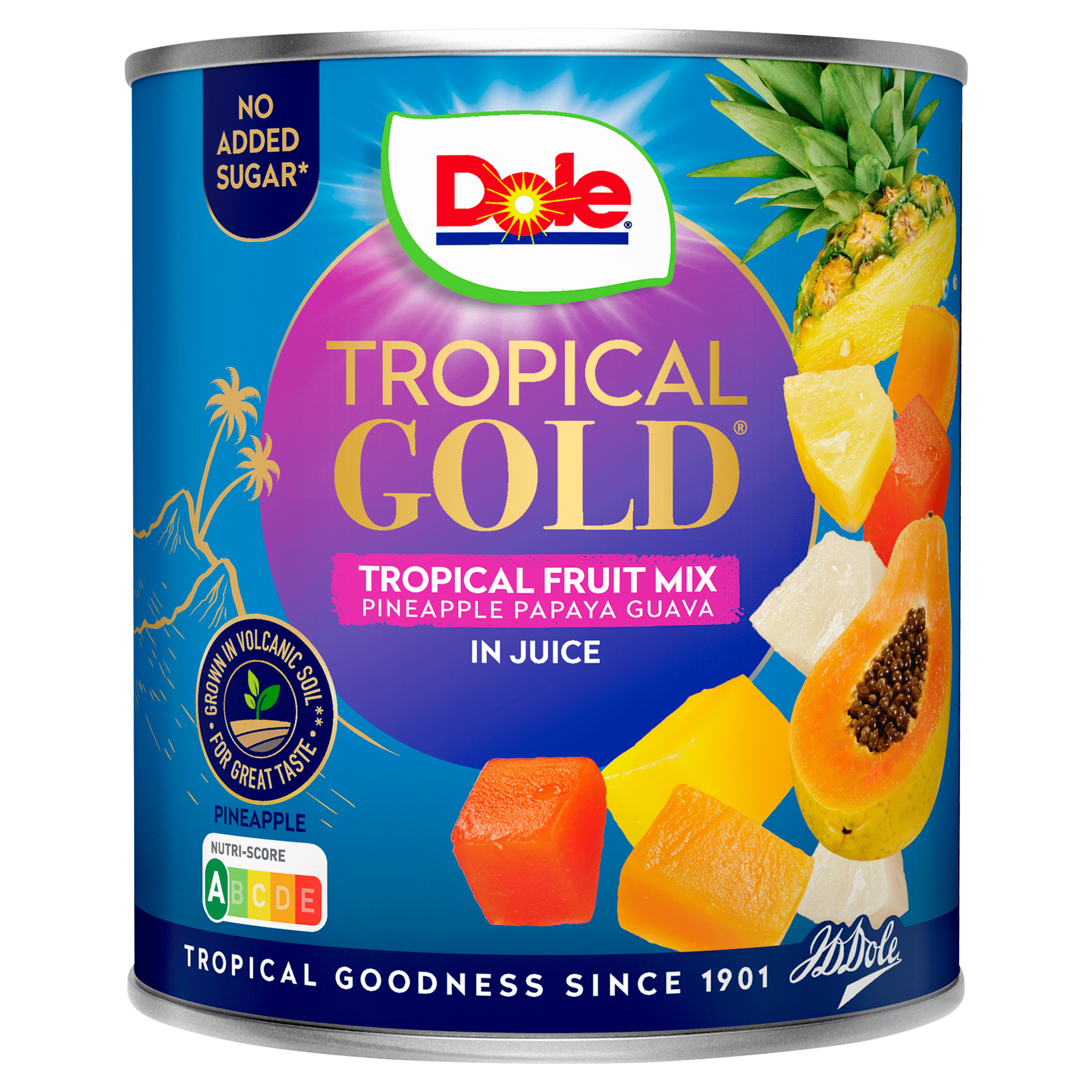 Dole Tropisch fruit op sap Blik 432 g