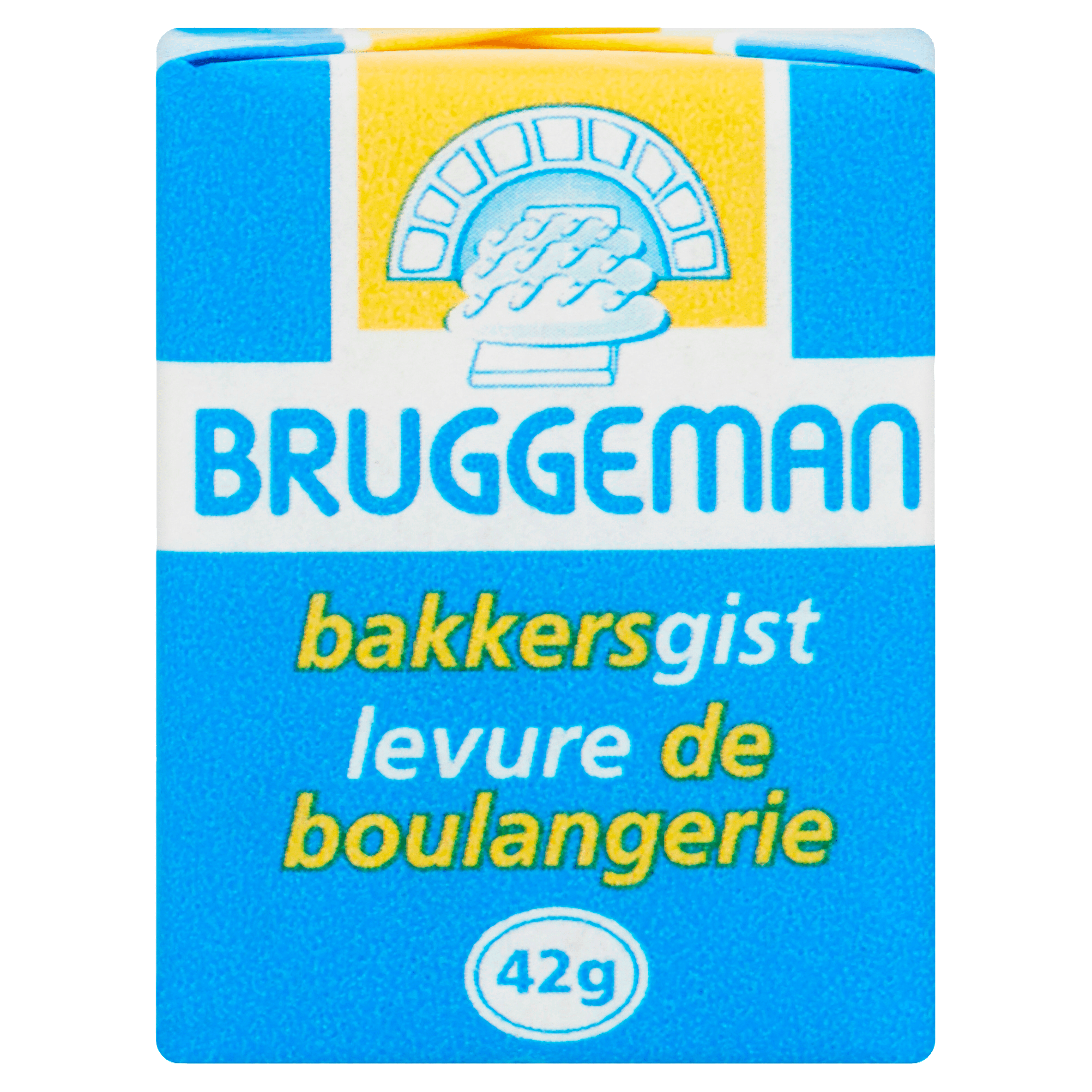 Bruggeman Verse bakkersgist mini