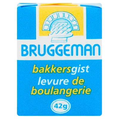 Bruggeman Verse bakkersgist mini