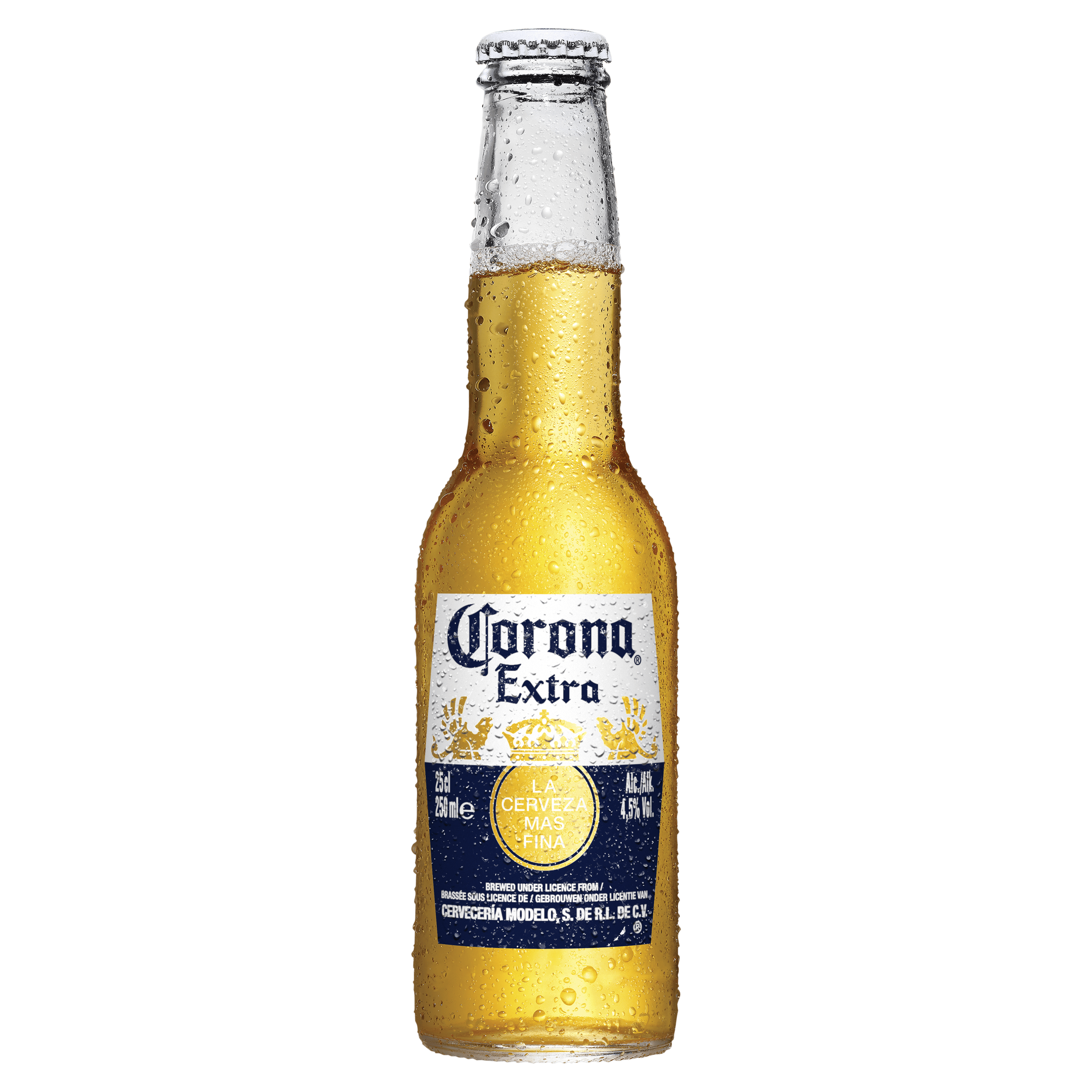 Corona Pils
