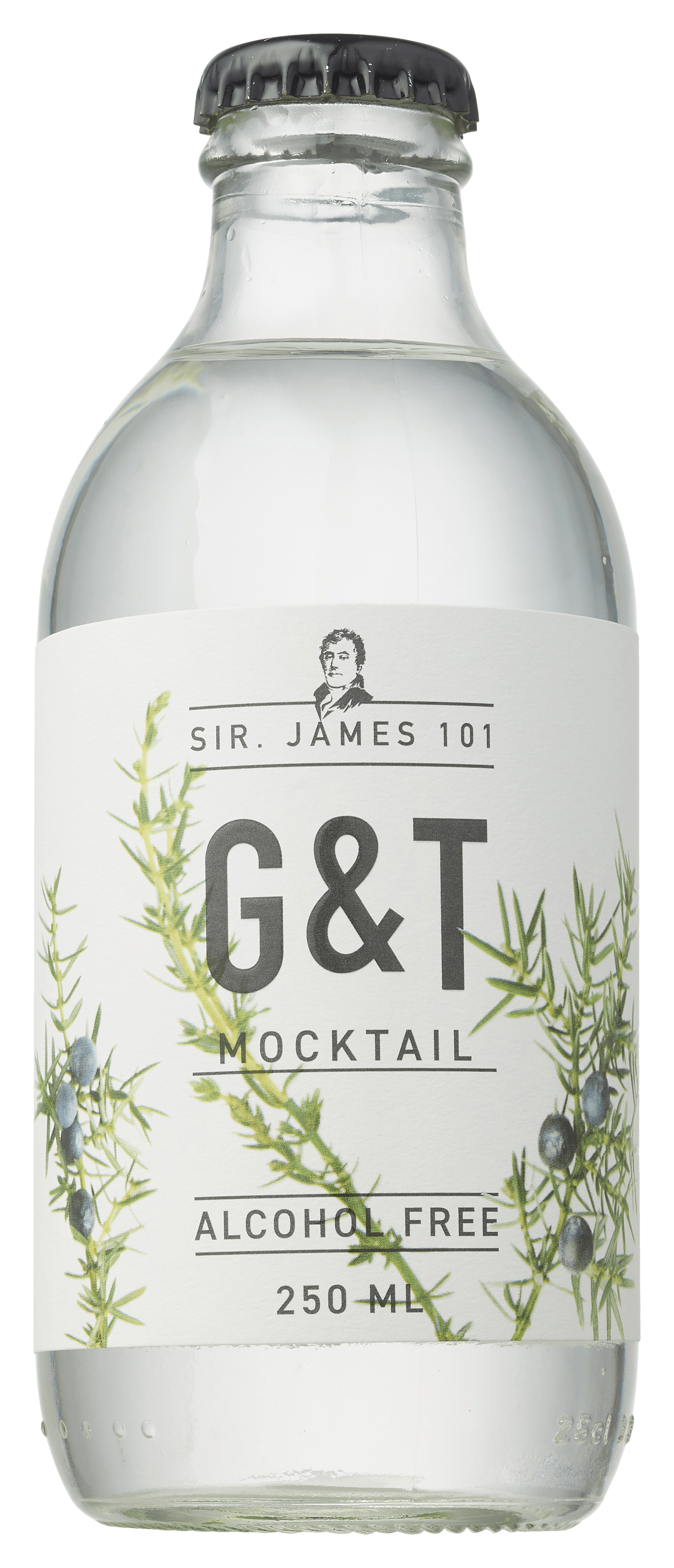 Sir James 101 Gin tonic 0%