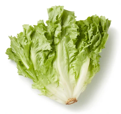 PLUS Andijvie fijngesneden