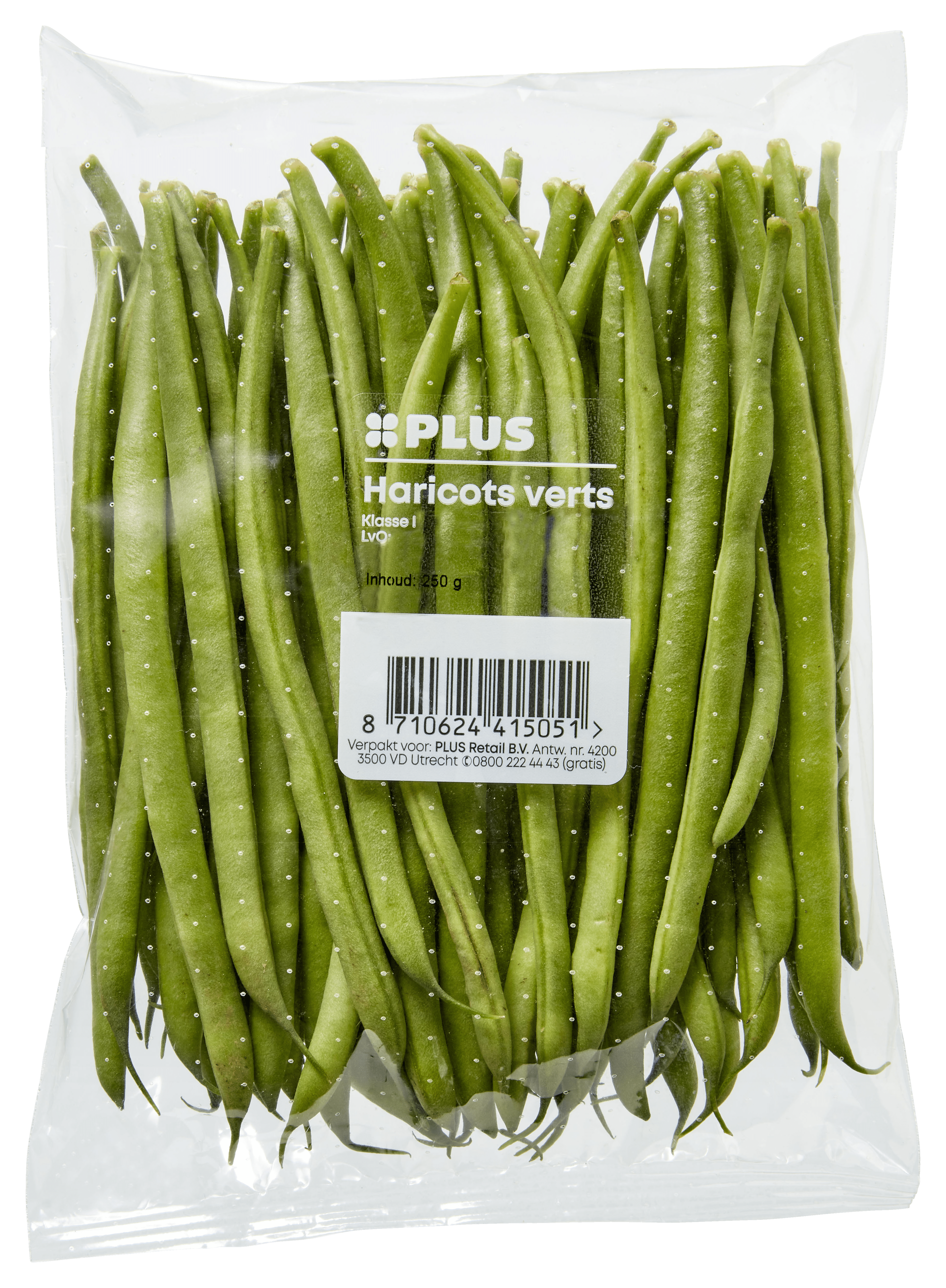 PLUS Haricots verts