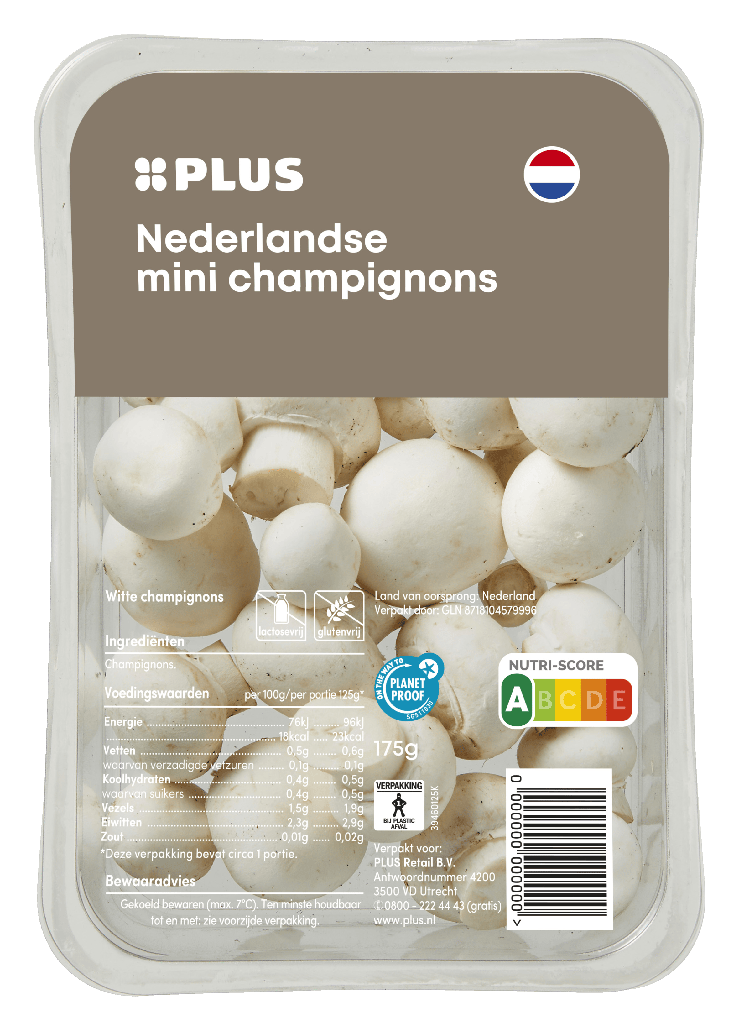 PLUS Minichampignons