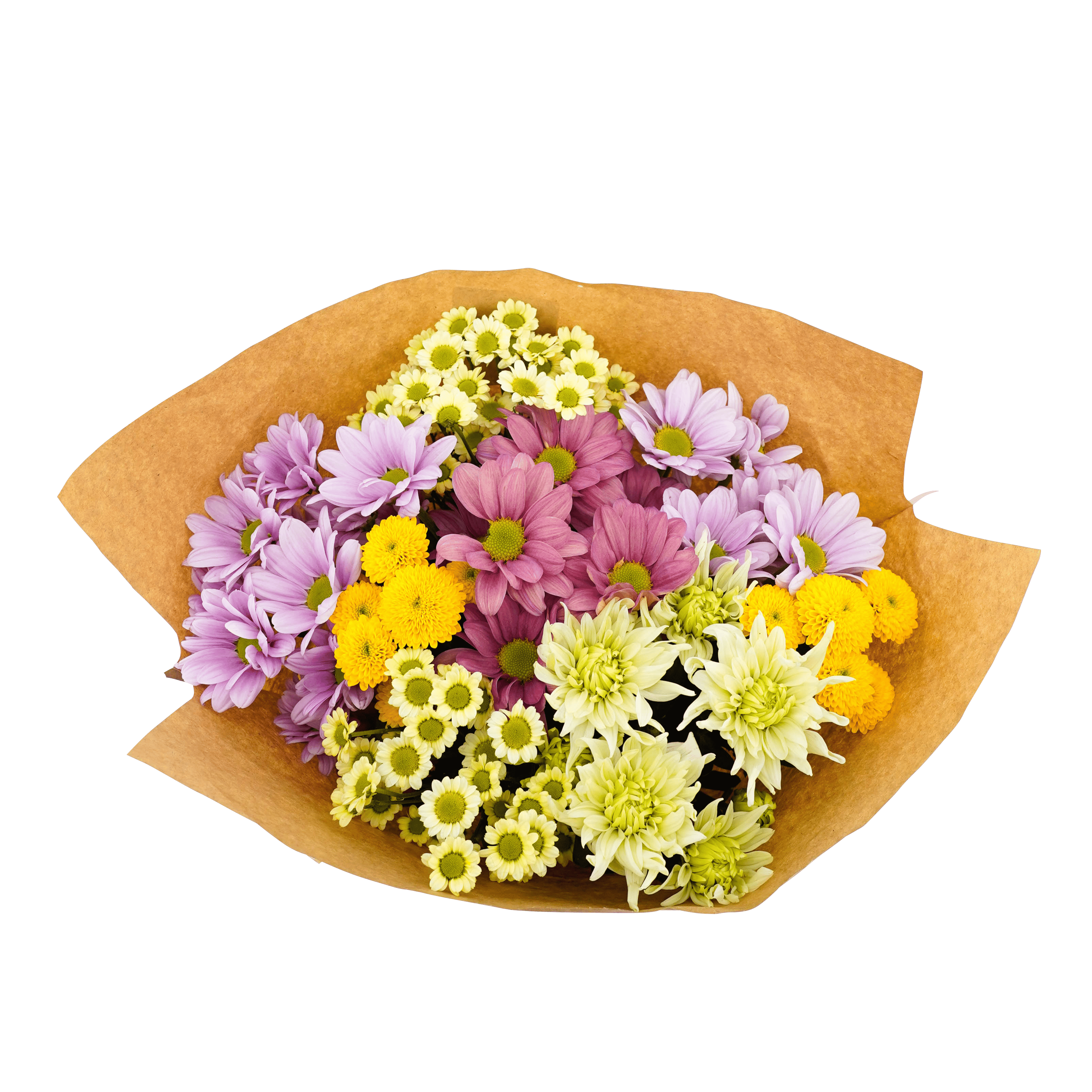 PLUS Chrysantenboeket 6.99