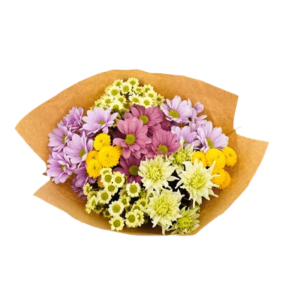 PLUS Chrysantenboeket 6.99