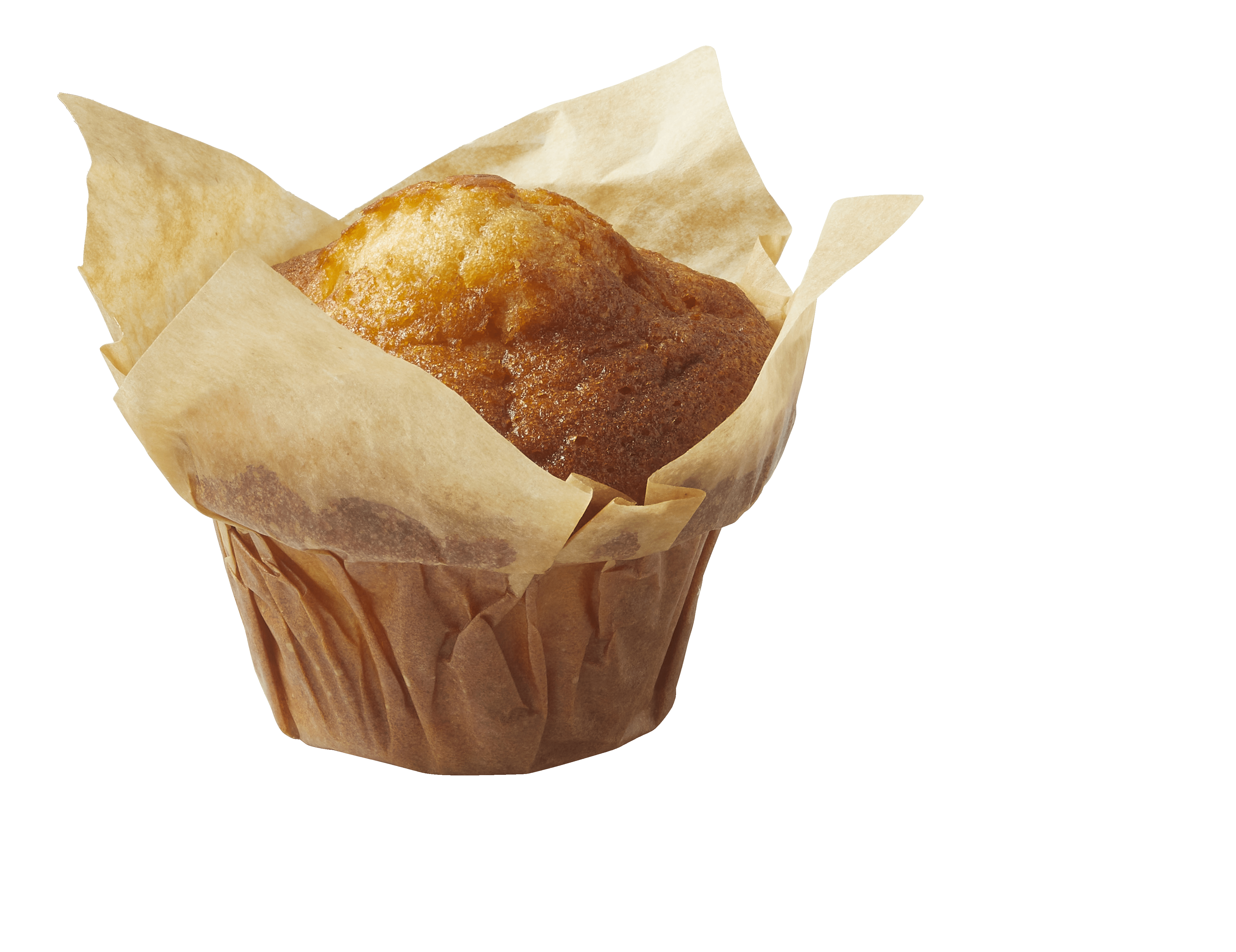 PLUS Biscuit duo's vanille