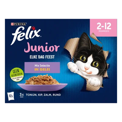 Felix Elke dag feest junior
