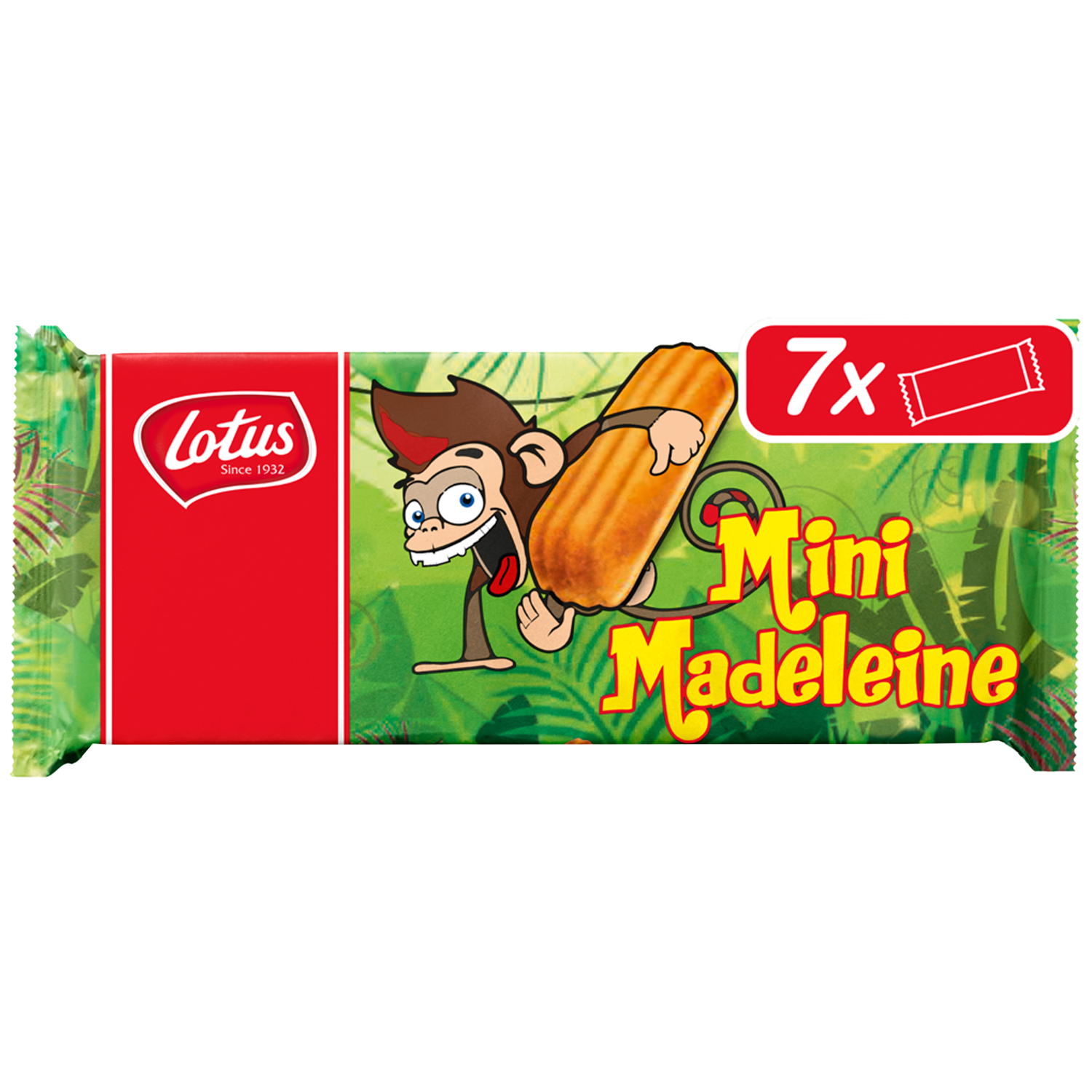 Lotus Cakejes mini Madeleine