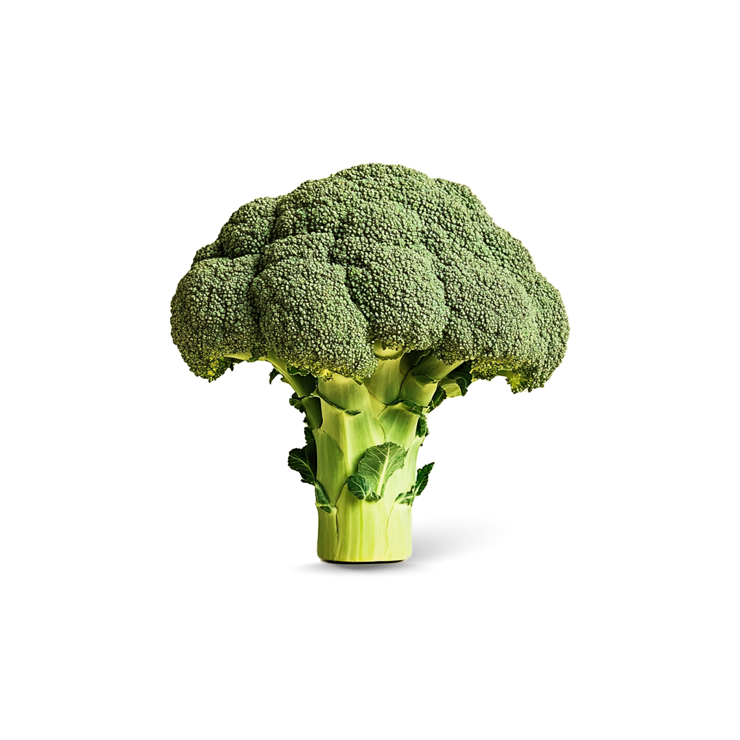 Broccoli