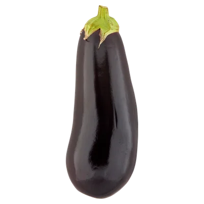 Aubergine