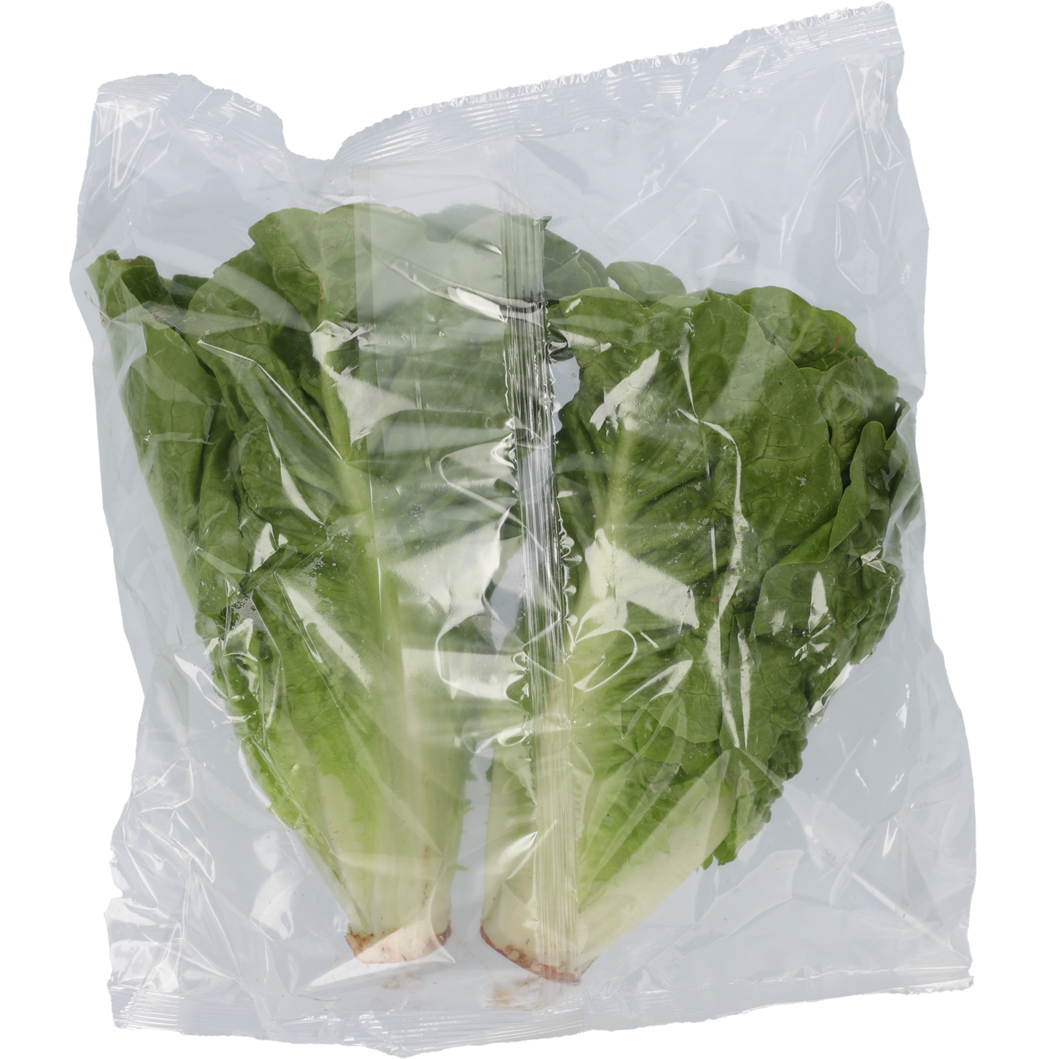1 de Beste Mini romaine