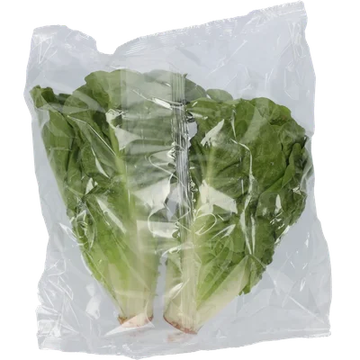 1 de Beste Mini romaine