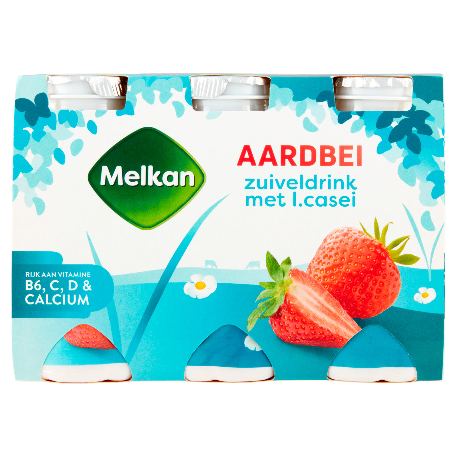 Melkan Zuiveldrink aardbei