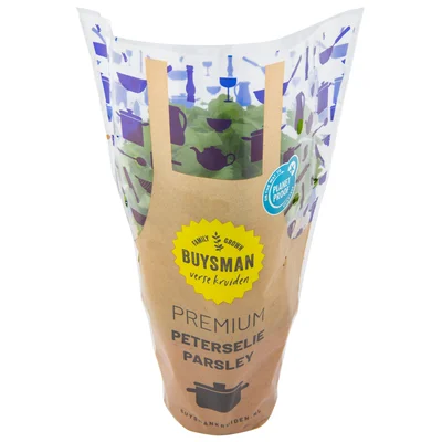 Platte peterselie grote pot