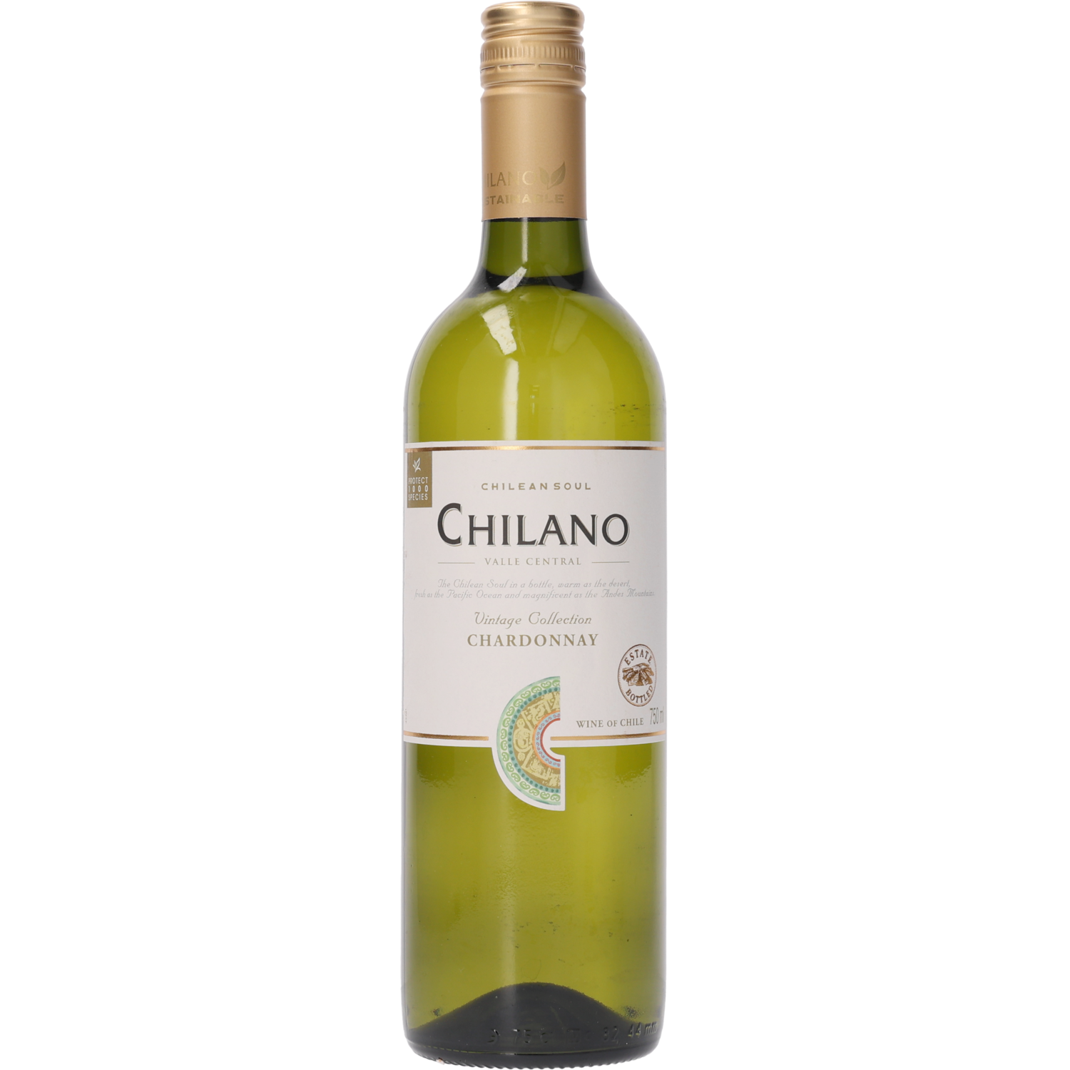 Chilano Chardonnay
