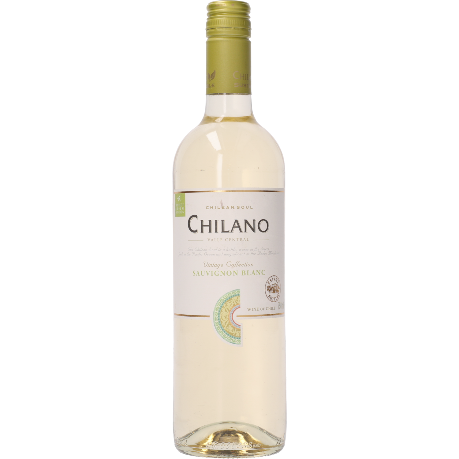 Chilano Sauvignon blanc