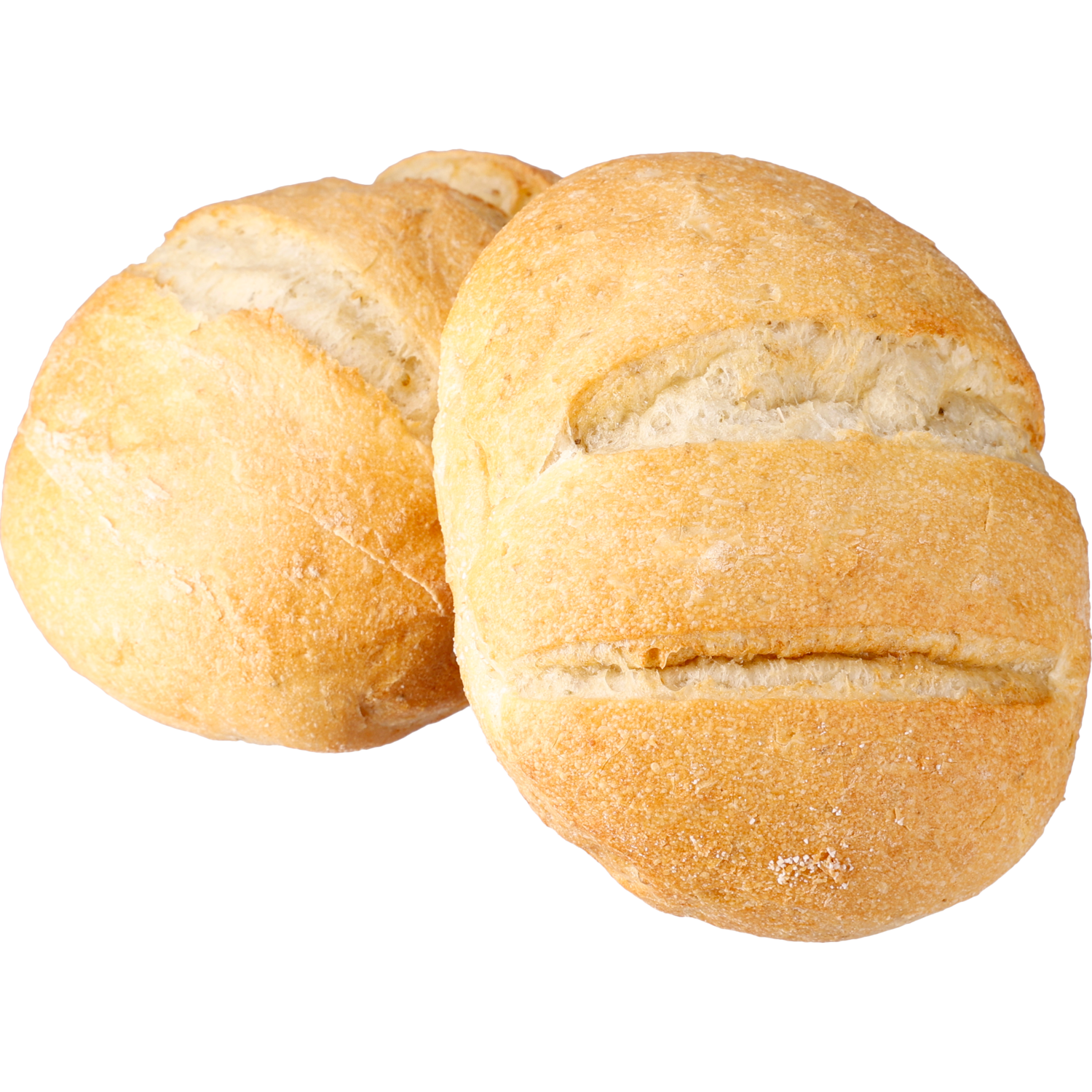 Italiaanse bol wit tarwebroodje met oregano