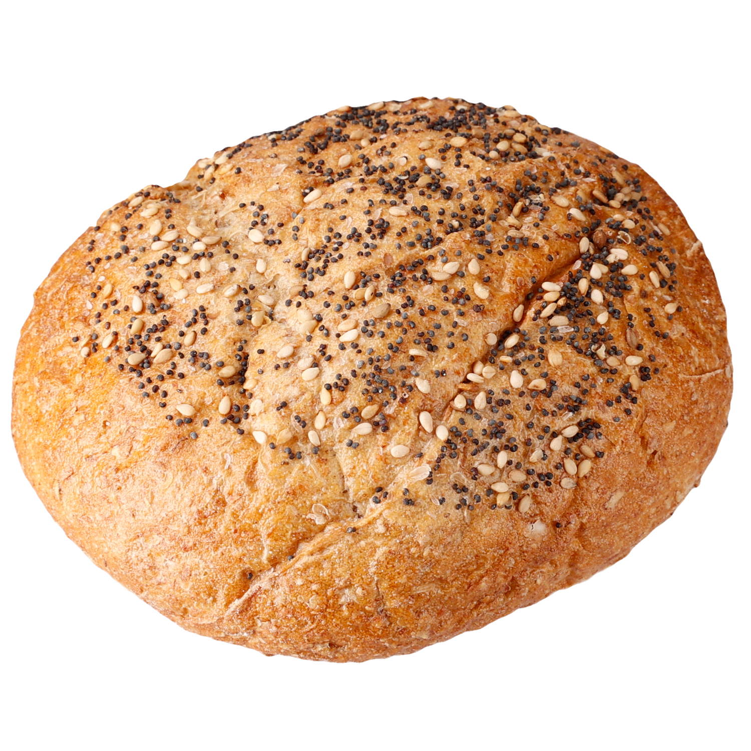 Vers afbak Volkorenbol volkoren tarwebroodje