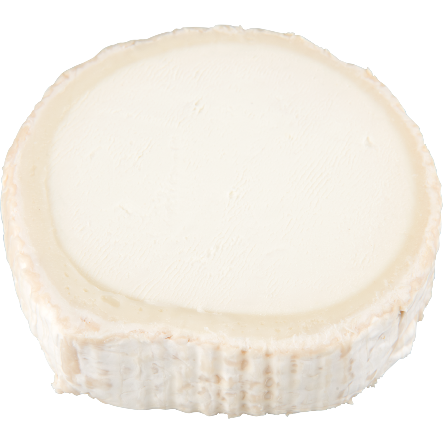 BITS & BITES Geitenkaas naturel