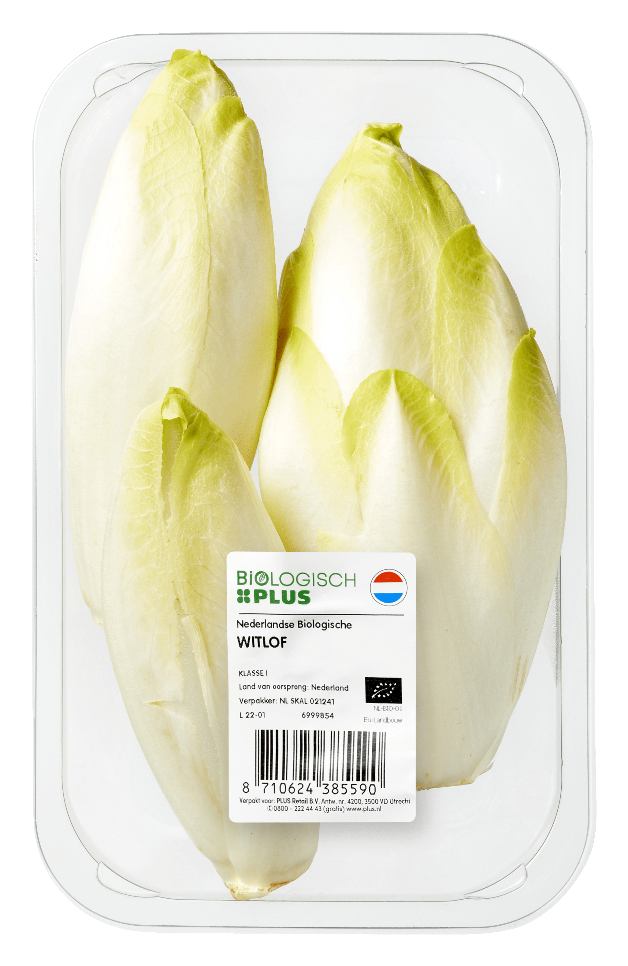 Biologisch PLUS Witlof Pak 500 g