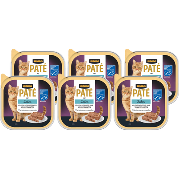 Jumbo Paté met Zalm 6 x 100 g