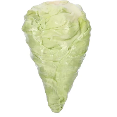 1 de Beste Spitskool