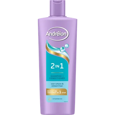 Andrélon Shampoo 2 in 1