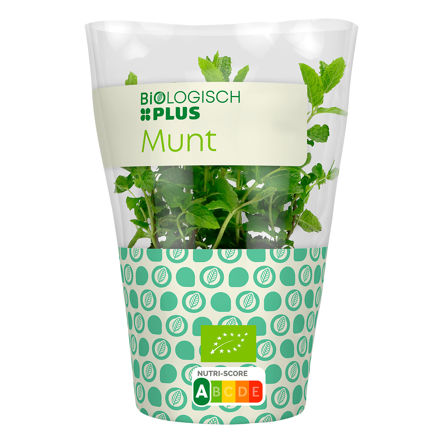 Biologisch PLUS Munt Pot 1 st