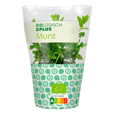 Biologisch PLUS Munt Pot 1 st