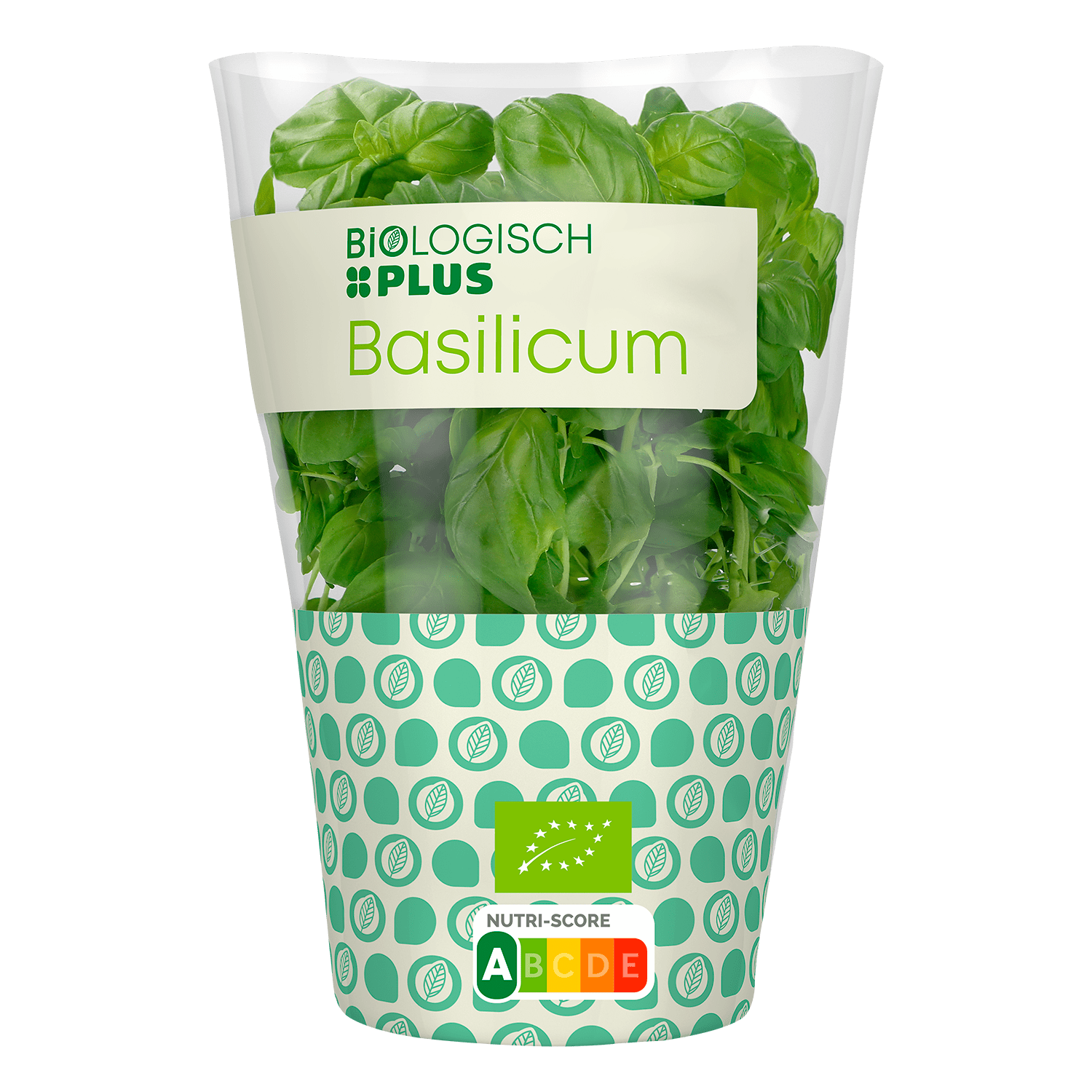 Biologisch PLUS Basilicum