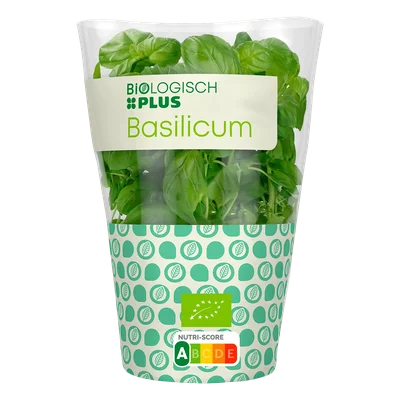 Biologisch PLUS Basilicum