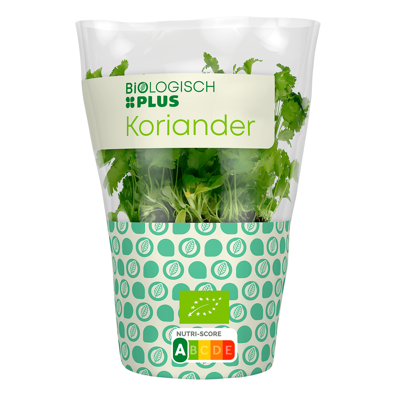 Biologisch PLUS Koriander
