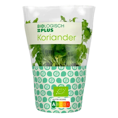 Biologisch PLUS Koriander