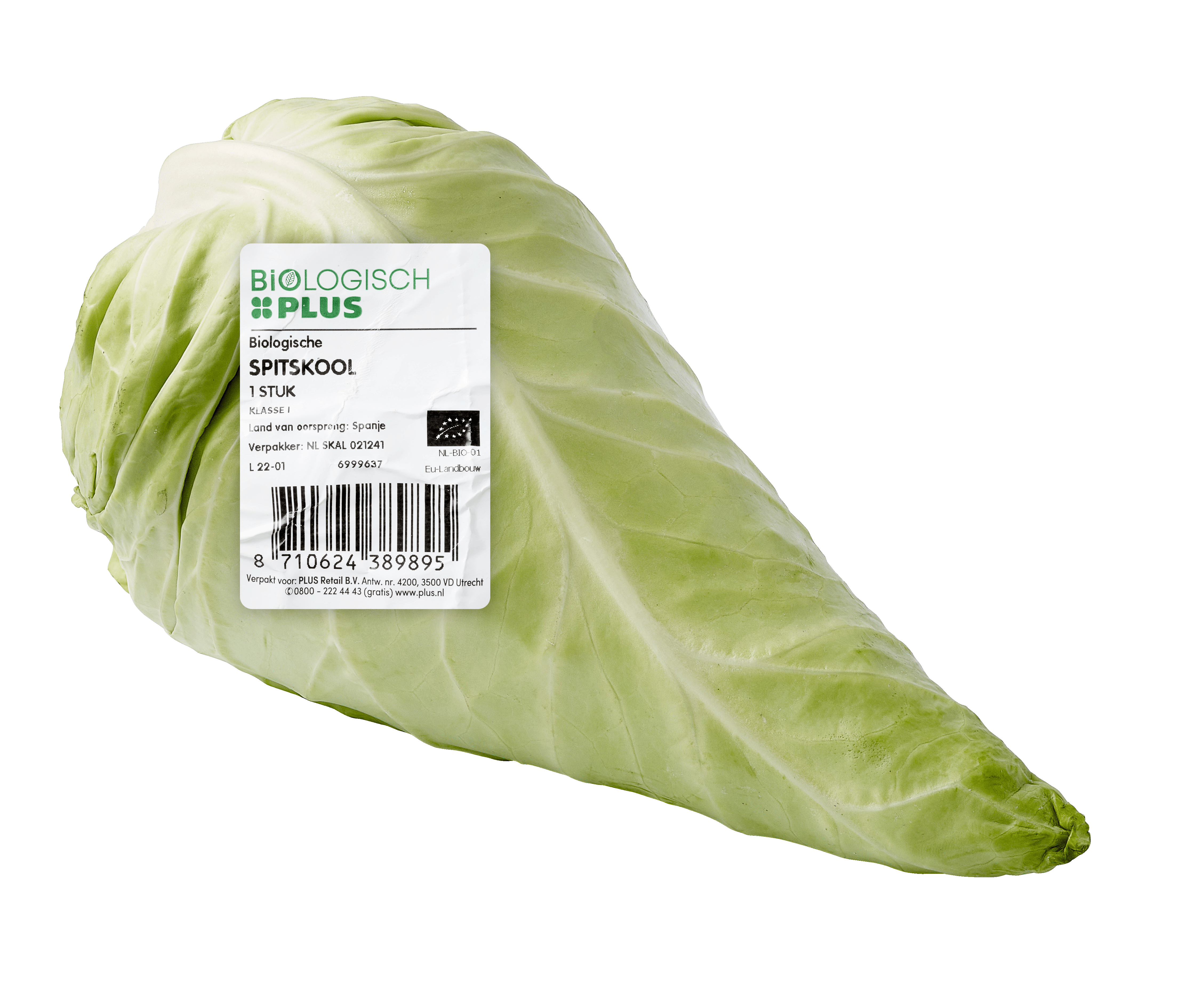 Biologisch PLUS Spitskool